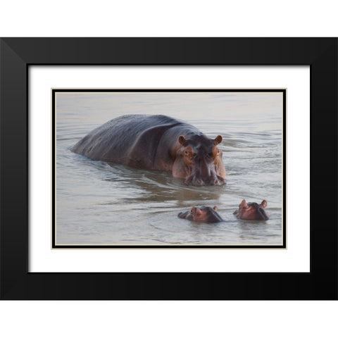Class is in Session Black Modern Wood Framed Art Print with Double Matting by Bennion, Scott