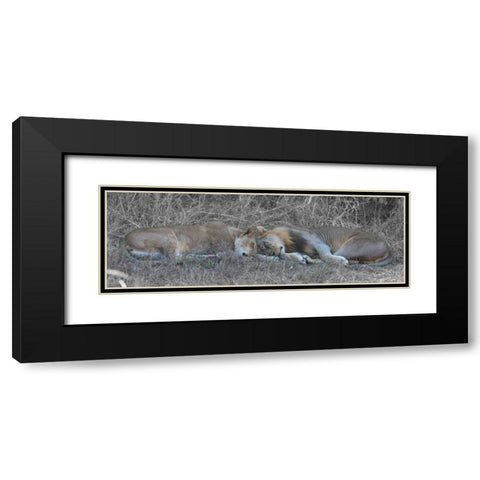 Lovers Black Modern Wood Framed Art Print with Double Matting by Bennion, Scott