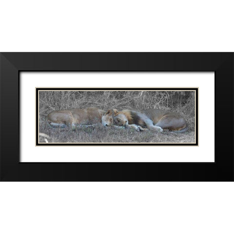 Lovers Black Modern Wood Framed Art Print with Double Matting by Bennion, Scott