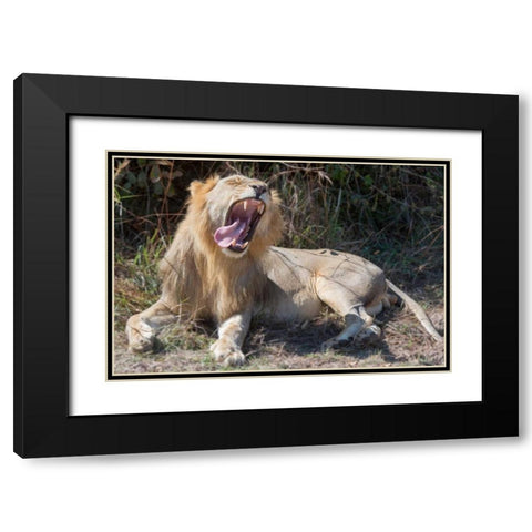 Speechless Black Modern Wood Framed Art Print with Double Matting by Bennion, Scott