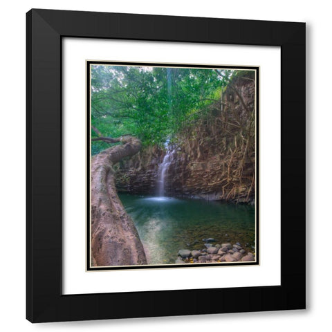 Sun Beam Black Modern Wood Framed Art Print with Double Matting by Bennion, Scott