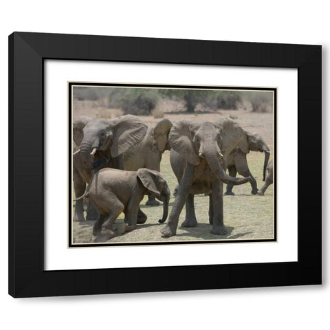 Too Close Black Modern Wood Framed Art Print with Double Matting by Bennion, Scott