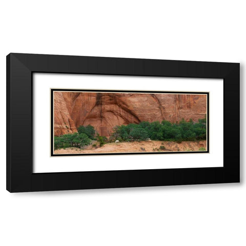 Wild Horses at Keet Seel Black Modern Wood Framed Art Print with Double Matting by Bennion, Scott