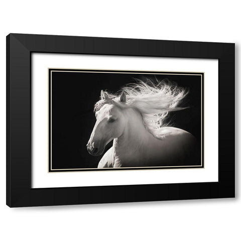 Grey Ghost Black Modern Wood Framed Art Print with Double Matting by Dawson, Robert