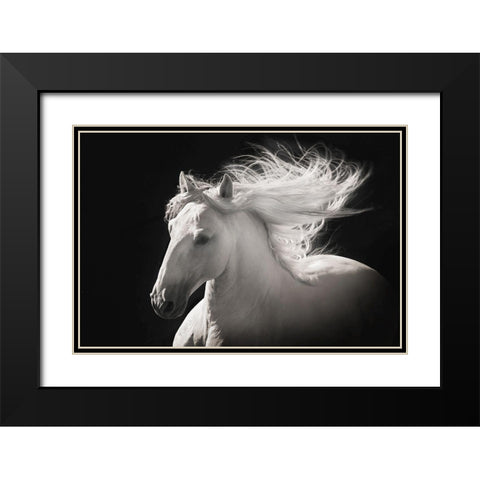 Grey Ghost Black Modern Wood Framed Art Print with Double Matting by Dawson, Robert