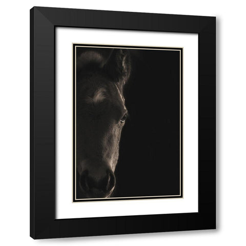 Look At Me Black Modern Wood Framed Art Print with Double Matting by Dawson, Robert