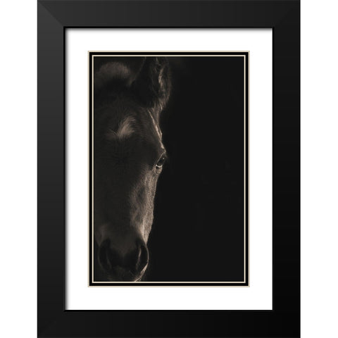 Look At Me Black Modern Wood Framed Art Print with Double Matting by Dawson, Robert