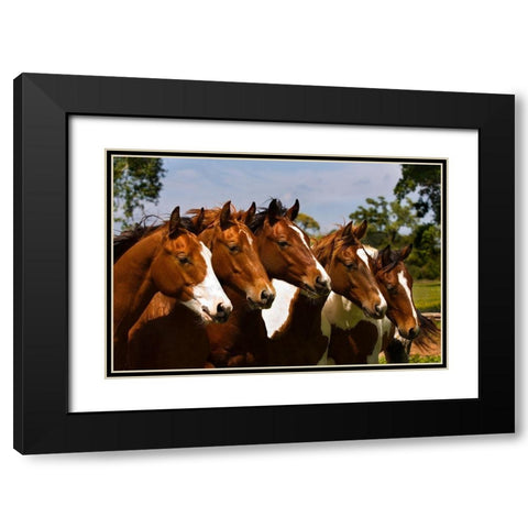 Best Friends Black Modern Wood Framed Art Print with Double Matting by Dawson, Robert