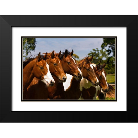 Best Friends Black Modern Wood Framed Art Print with Double Matting by Dawson, Robert