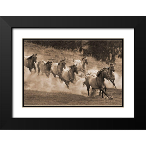Leader of the Pack Black Modern Wood Framed Art Print with Double Matting by Dawson, Robert