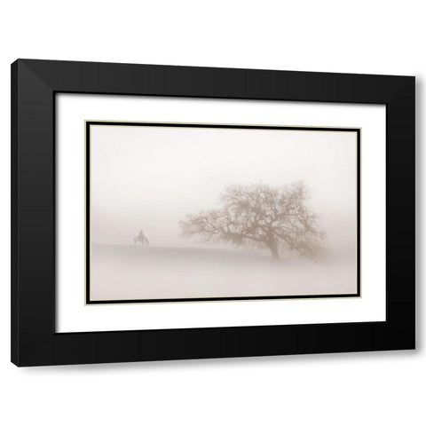 Lonely Days Black Modern Wood Framed Art Print with Double Matting by Dawson, Robert
