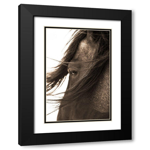Dont Bother Me Black Modern Wood Framed Art Print with Double Matting by Dawson, Robert