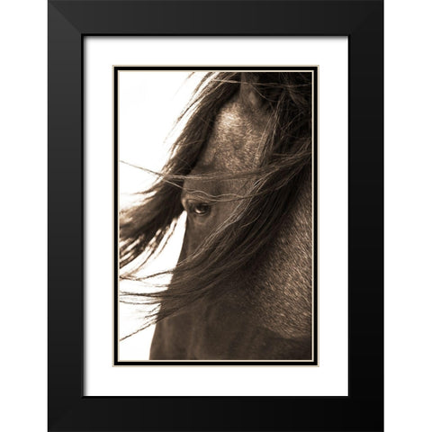 Dont Bother Me Black Modern Wood Framed Art Print with Double Matting by Dawson, Robert