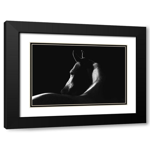 Moonlight Dreamer Black Modern Wood Framed Art Print with Double Matting by Dawson, Robert
