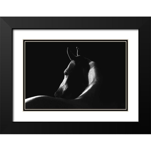 Moonlight Dreamer Black Modern Wood Framed Art Print with Double Matting by Dawson, Robert