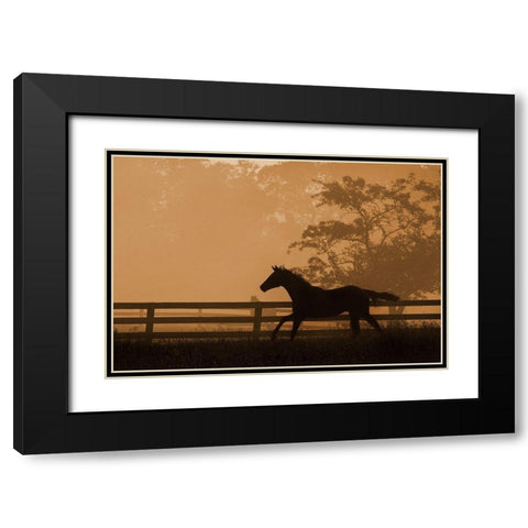 Headin For the Sun Black Modern Wood Framed Art Print with Double Matting by Dawson, Robert