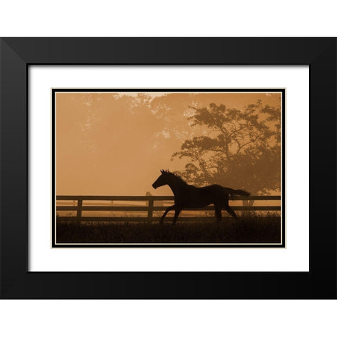 Headin For the Sun Black Modern Wood Framed Art Print with Double Matting by Dawson, Robert