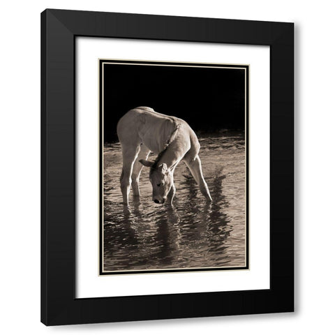 Cool Water Black Modern Wood Framed Art Print with Double Matting by Dawson, Robert