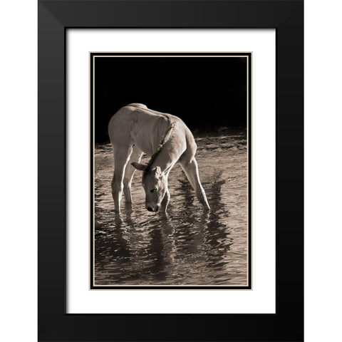 Cool Water Black Modern Wood Framed Art Print with Double Matting by Dawson, Robert
