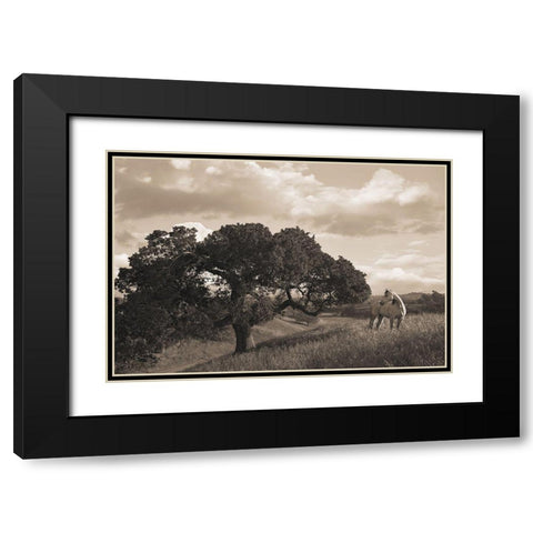 California Evening Black Modern Wood Framed Art Print with Double Matting by Dawson, Robert