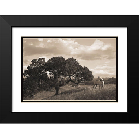 California Evening Black Modern Wood Framed Art Print with Double Matting by Dawson, Robert