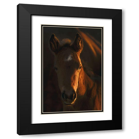 Little Miss Black Modern Wood Framed Art Print with Double Matting by Dawson, Robert