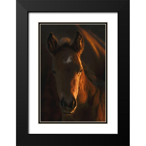 Little Miss Black Modern Wood Framed Art Print with Double Matting by Dawson, Robert