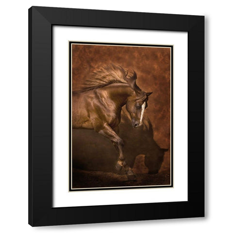 Horse Dancer Black Modern Wood Framed Art Print with Double Matting by Dawson, Robert