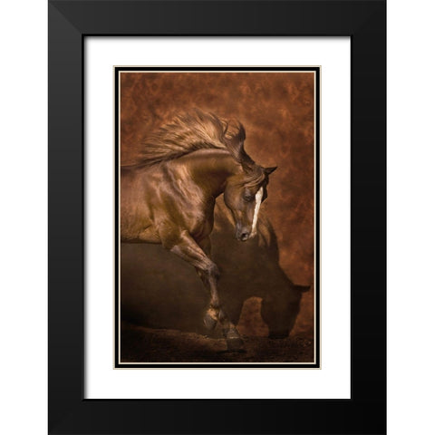 Horse Dancer Black Modern Wood Framed Art Print with Double Matting by Dawson, Robert