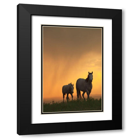 Evening Walk Black Modern Wood Framed Art Print with Double Matting by Dawson, Robert