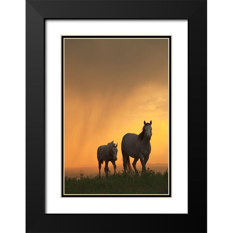 Evening Walk Black Modern Wood Framed Art Print with Double Matting by Dawson, Robert