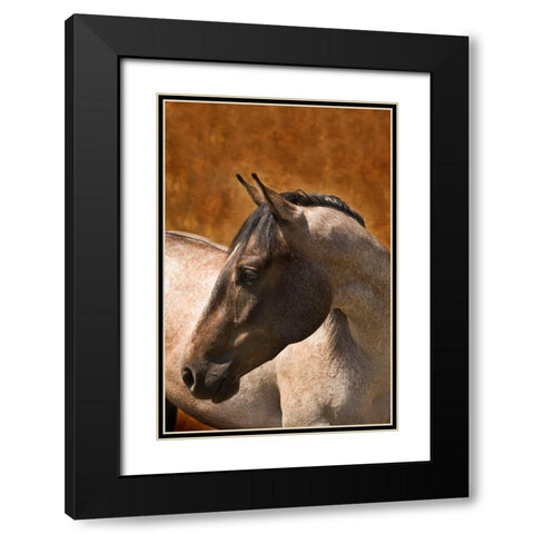 Leos Son Black Modern Wood Framed Art Print with Double Matting by Dawson, Robert