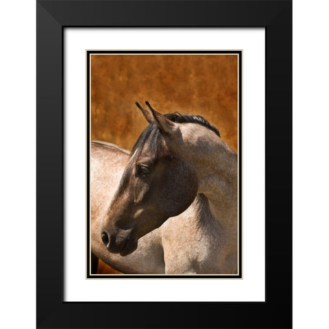 Leos Son Black Modern Wood Framed Art Print with Double Matting by Dawson, Robert