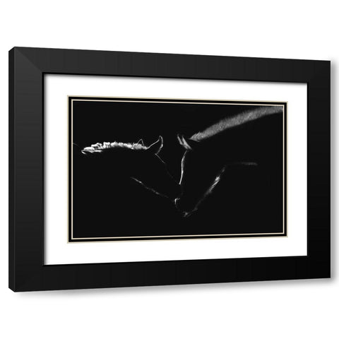 Moonlight Kiss Black Modern Wood Framed Art Print with Double Matting by Dawson, Robert