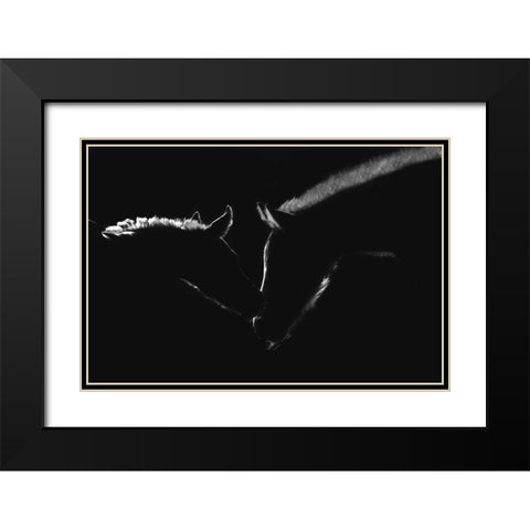 Moonlight Kiss Black Modern Wood Framed Art Print with Double Matting by Dawson, Robert