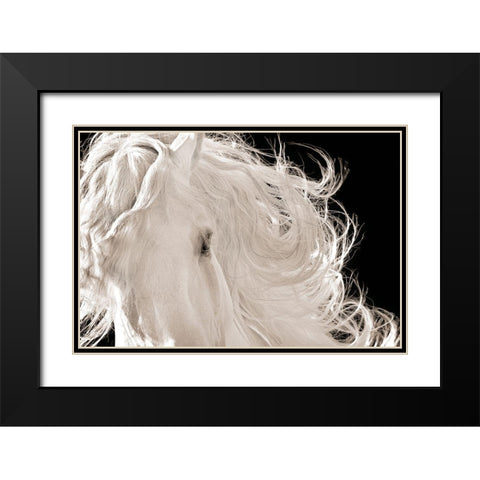 Leonardo Black Modern Wood Framed Art Print with Double Matting by Dawson, Robert