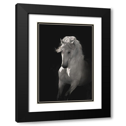 Into the Light Black Modern Wood Framed Art Print with Double Matting by Dawson, Robert