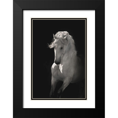 Into the Light Black Modern Wood Framed Art Print with Double Matting by Dawson, Robert