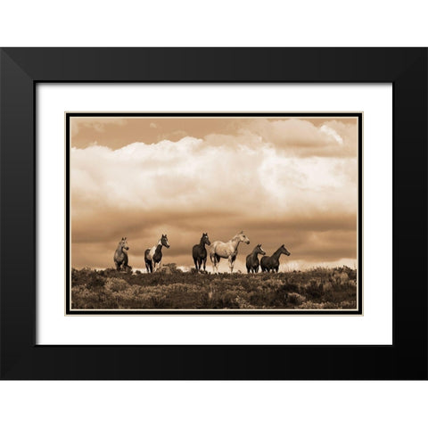 Prairie Song Black Modern Wood Framed Art Print with Double Matting by Dawson, Robert