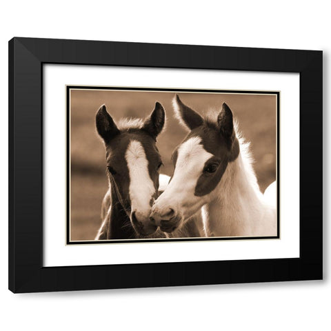 Playful Friends Black Modern Wood Framed Art Print with Double Matting by Dawson, Robert