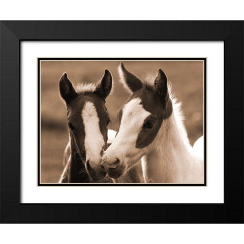Playful Friends Black Modern Wood Framed Art Print with Double Matting by Dawson, Robert