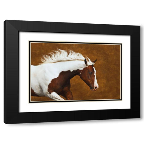 My Little Bella Black Modern Wood Framed Art Print with Double Matting by Dawson, Robert