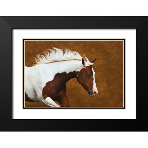 My Little Bella Black Modern Wood Framed Art Print with Double Matting by Dawson, Robert
