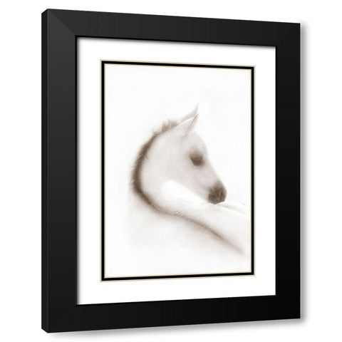 Snow White Black Modern Wood Framed Art Print with Double Matting by Dawson, Robert