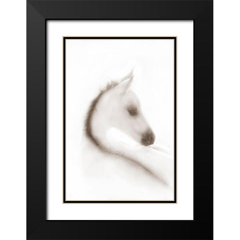 Snow White Black Modern Wood Framed Art Print with Double Matting by Dawson, Robert