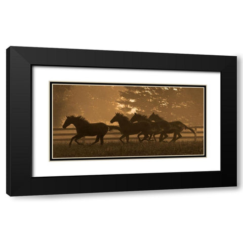 Running For Home II Black Modern Wood Framed Art Print with Double Matting by Dawson, Robert