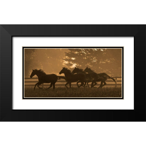 Running For Home II Black Modern Wood Framed Art Print with Double Matting by Dawson, Robert