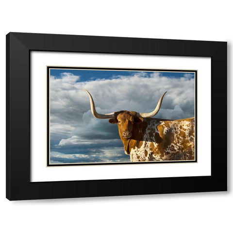 Texas Longhorn ~ Color Black Modern Wood Framed Art Print with Double Matting by Dawson, Robert