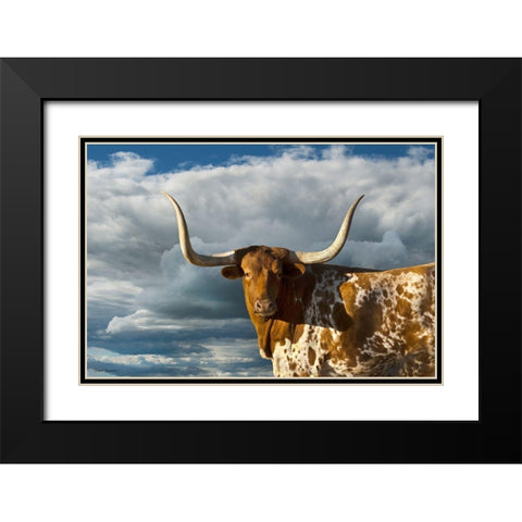 Texas Longhorn ~ Color Black Modern Wood Framed Art Print with Double Matting by Dawson, Robert