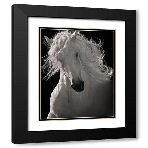The Lusitano Dancer Black Modern Wood Framed Art Print with Double Matting by Dawson, Robert